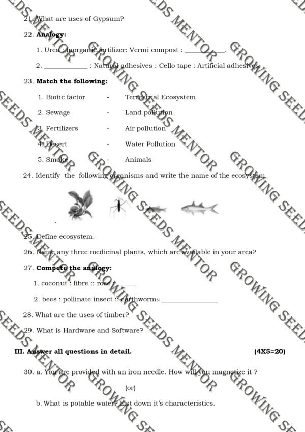 Science Third Term Exam Class 6
